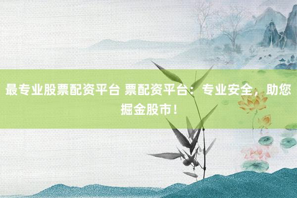 最专业股票配资平台 票配资平台：专业安全，助您掘金股市！