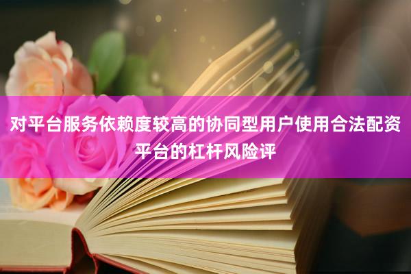 对平台服务依赖度较高的协同型用户使用合法配资平台的杠杆风险评