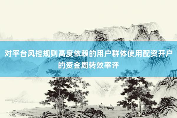 对平台风控规则高度依赖的用户群体使用配资开户的资金周转效率评