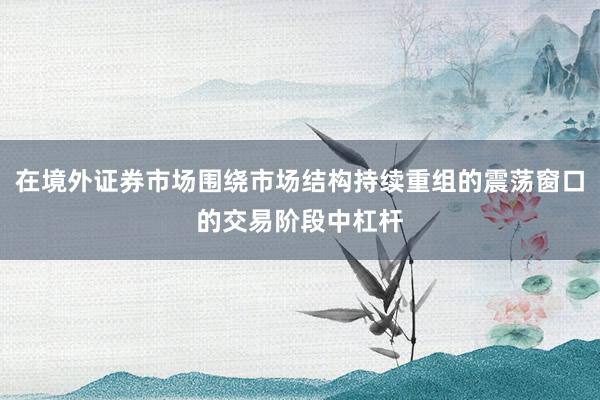在境外证券市场围绕市场结构持续重组的震荡窗口的交易阶段中杠杆