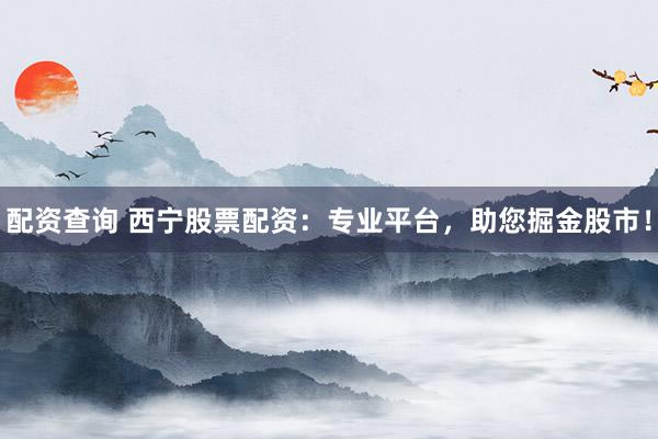 配资查询 西宁股票配资：专业平台，助您掘金股市！