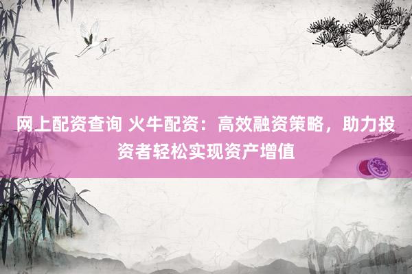 网上配资查询 火牛配资：高效融资策略，助力投资者轻松实现资产增值