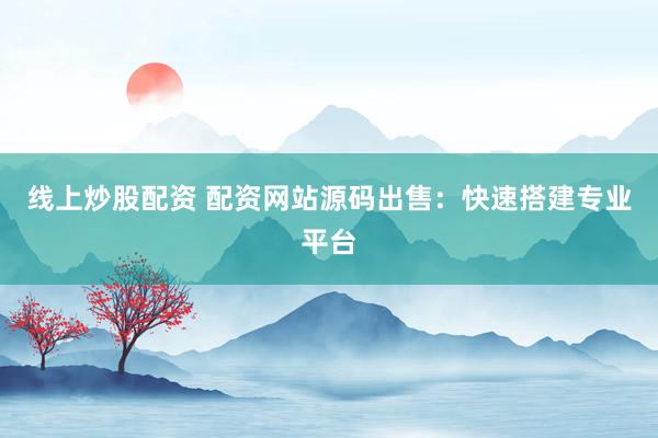 线上炒股配资 配资网站源码出售：快速搭建专业平台